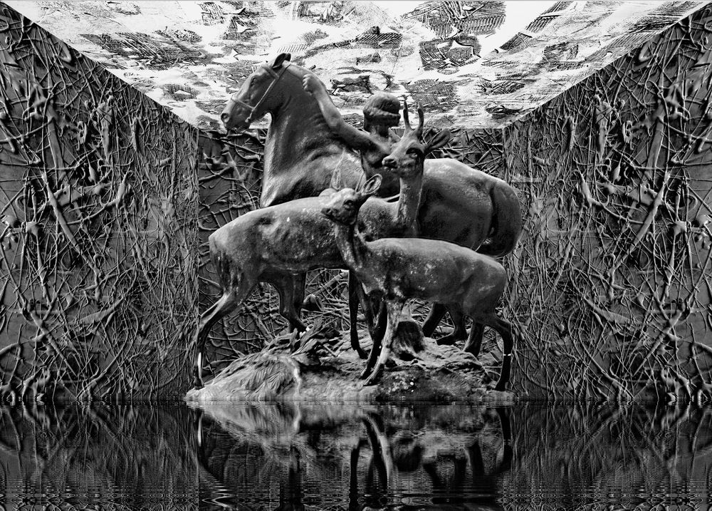 Photograph by Сергей Гребенников