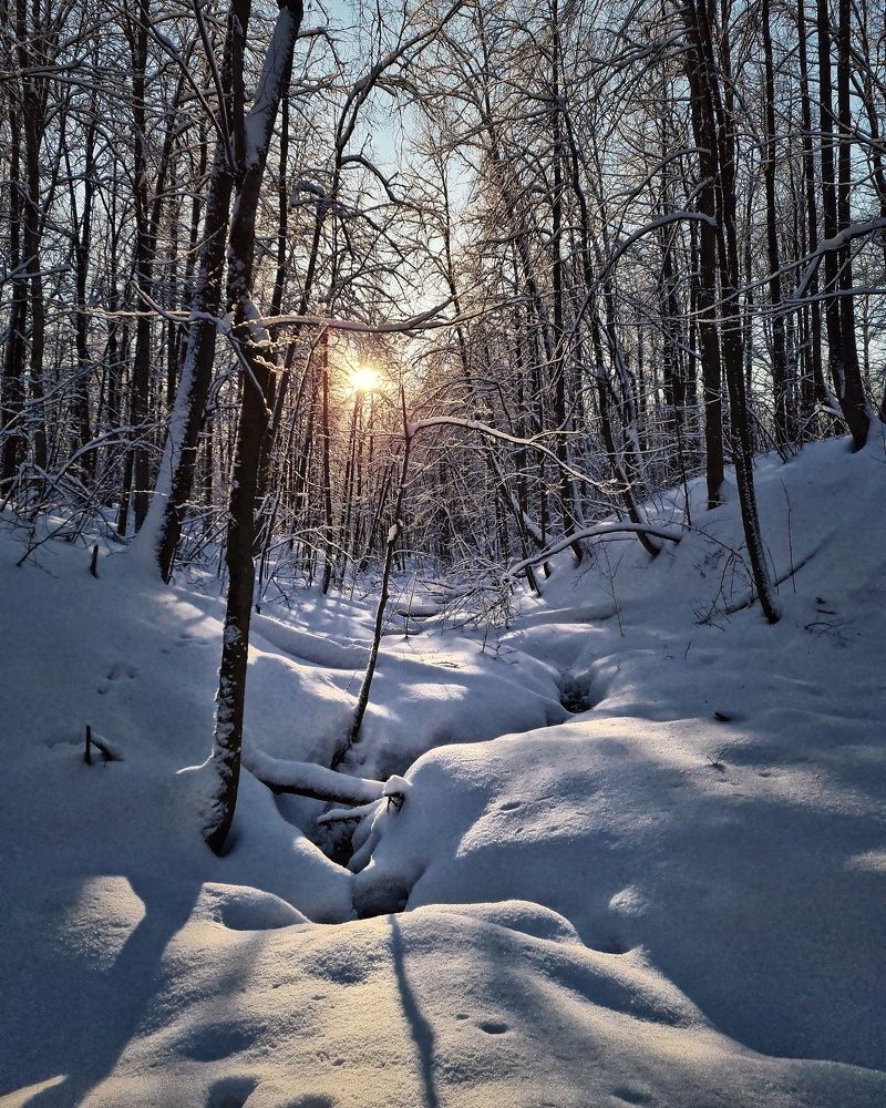 Photograph by Людмила Григорьева