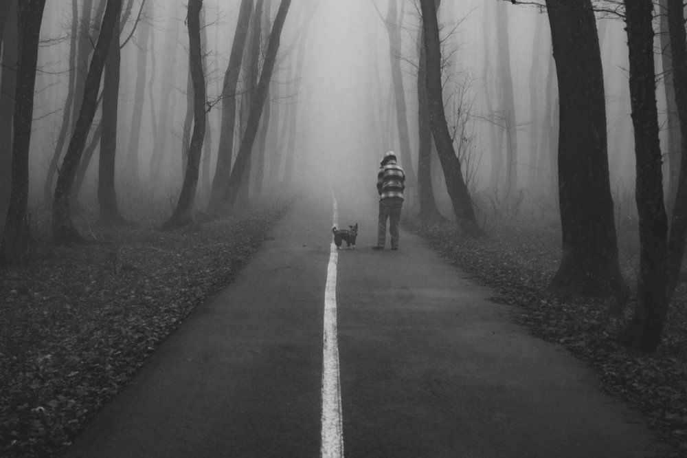 Photograph by 