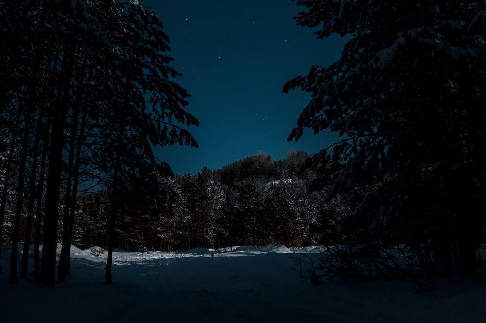 Photograph by Егор Пакулин