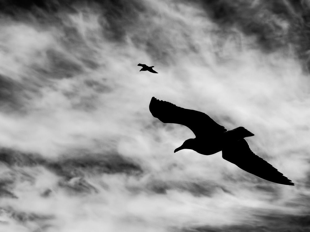 Photograph by Николай Драганов