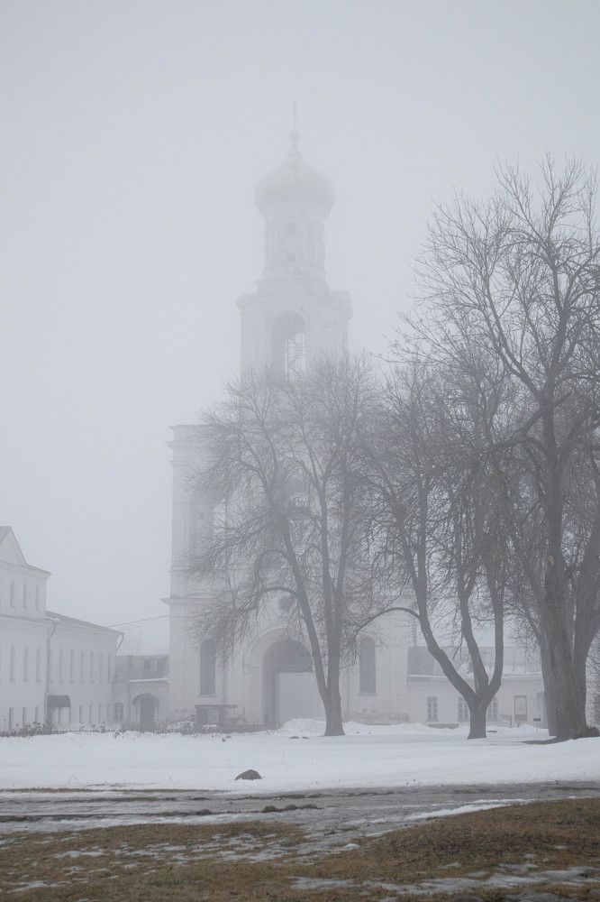 Photo #8603173