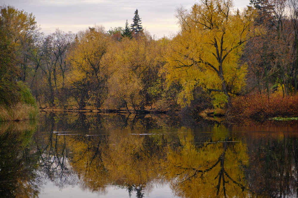 Photograph by Андрей Мертвищев