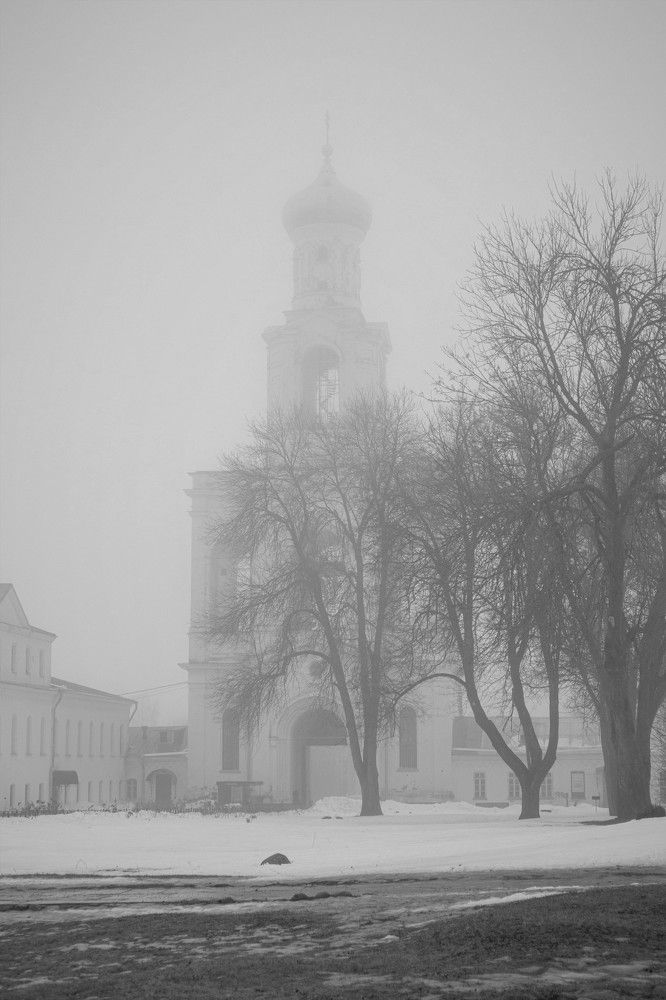 Photo #8603186