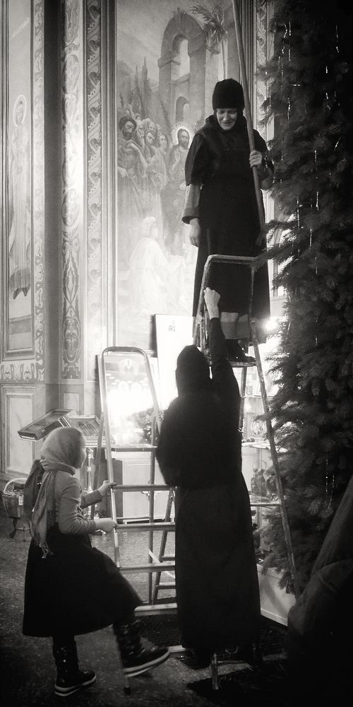 Фотография автора Елена Лаврова