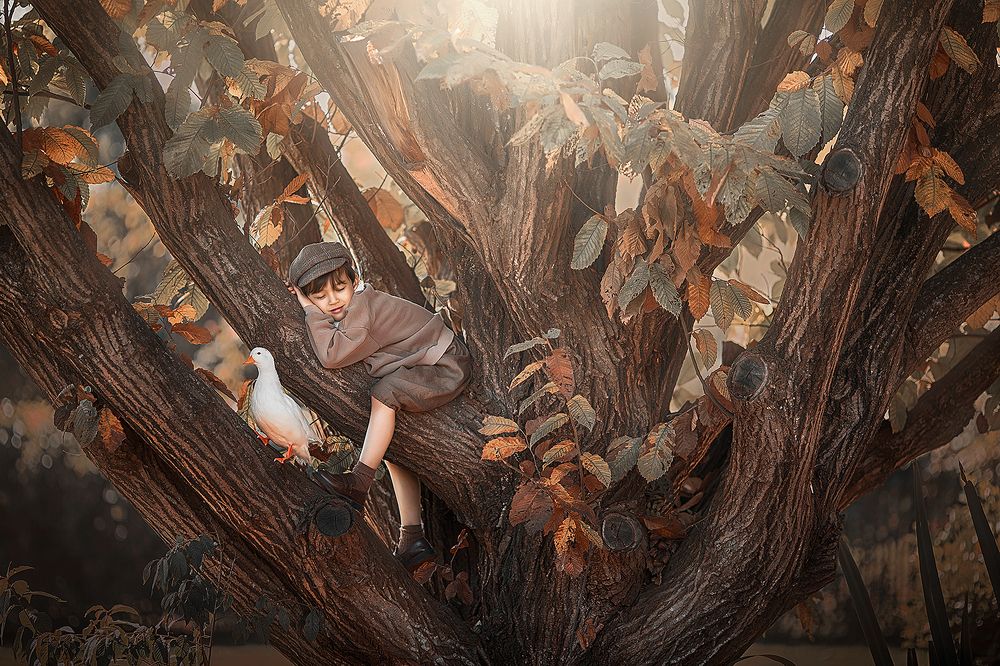 Photograph by  姚文琦