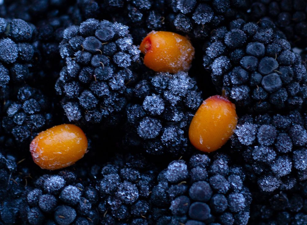 Photograph by Ирина Корешкова