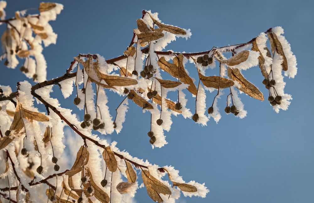 Photograph by Сергей Басов