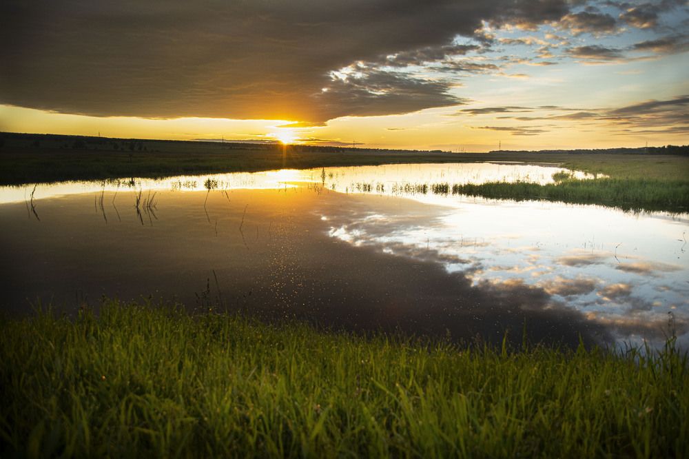 Фотография автора Светлана Воротынцева