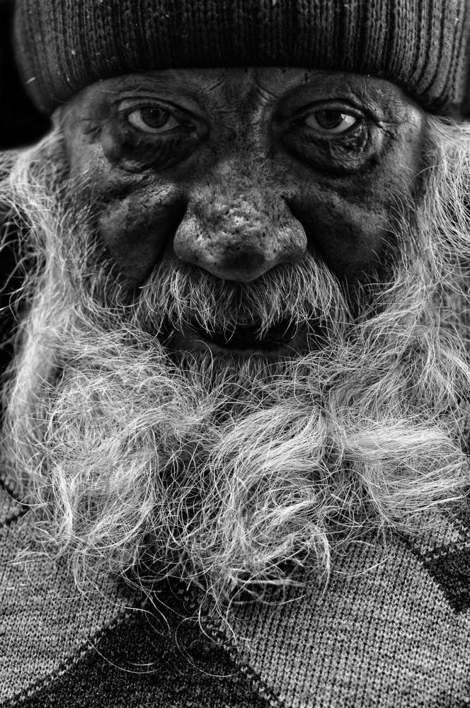 Photograph by Muzaffer Sütlüoğlu