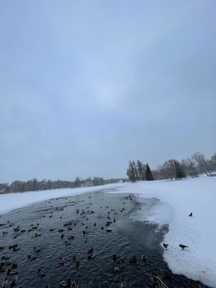 Фотография автора Светлана