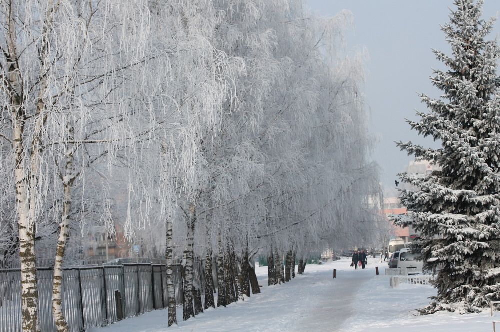 Photograph by Владимир Владимирович