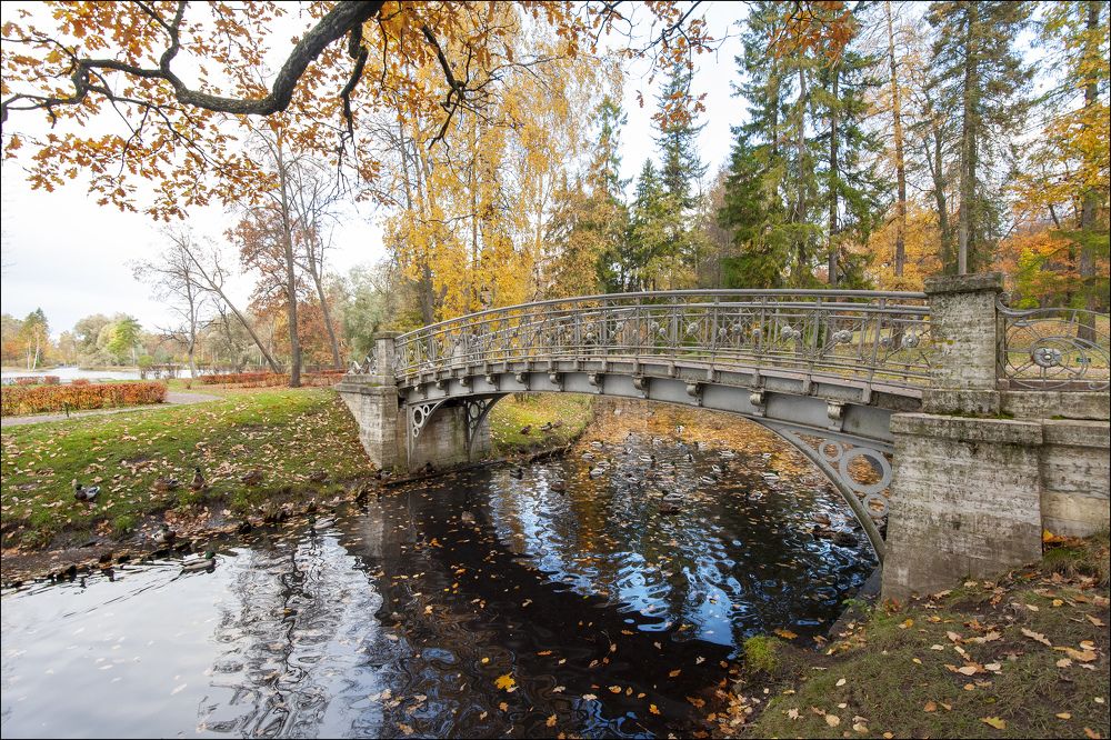 Photograph by Георгий Сапожников