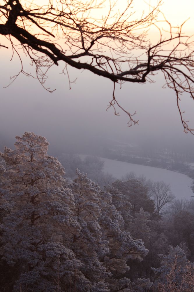 Фотография автора Татьяна Шебаршенко