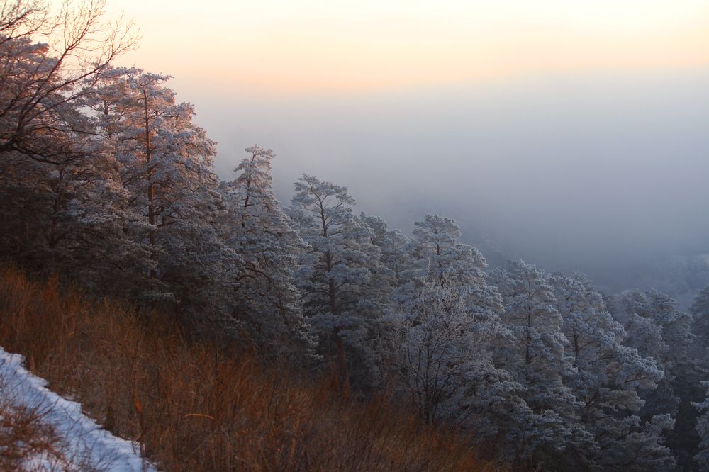 Фотография автора Татьяна Шебаршенко