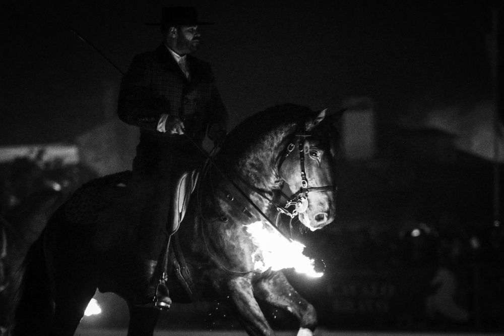 Photograph by Carlos Hernâni