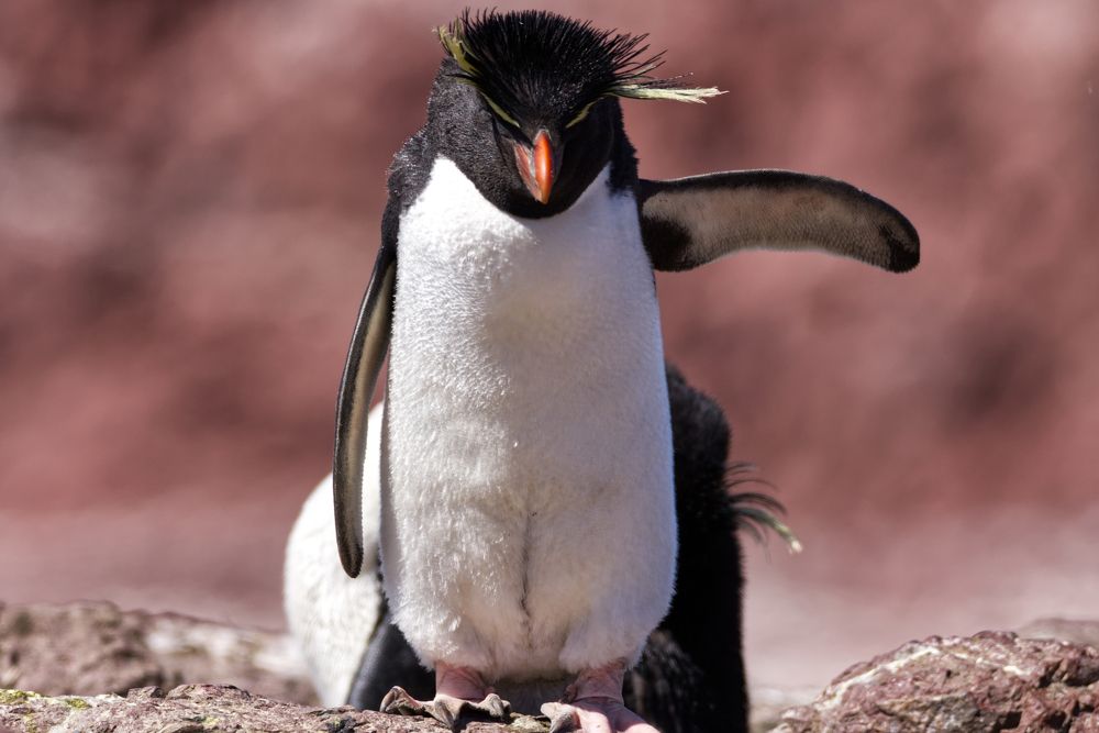 Photograph by Aldasoro