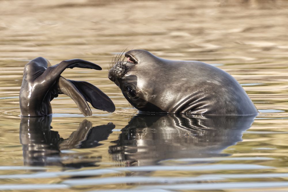 Photograph by Aldasoro