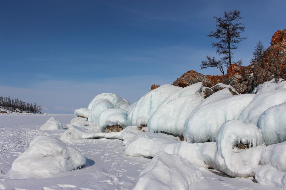 На Ушканьих островах
