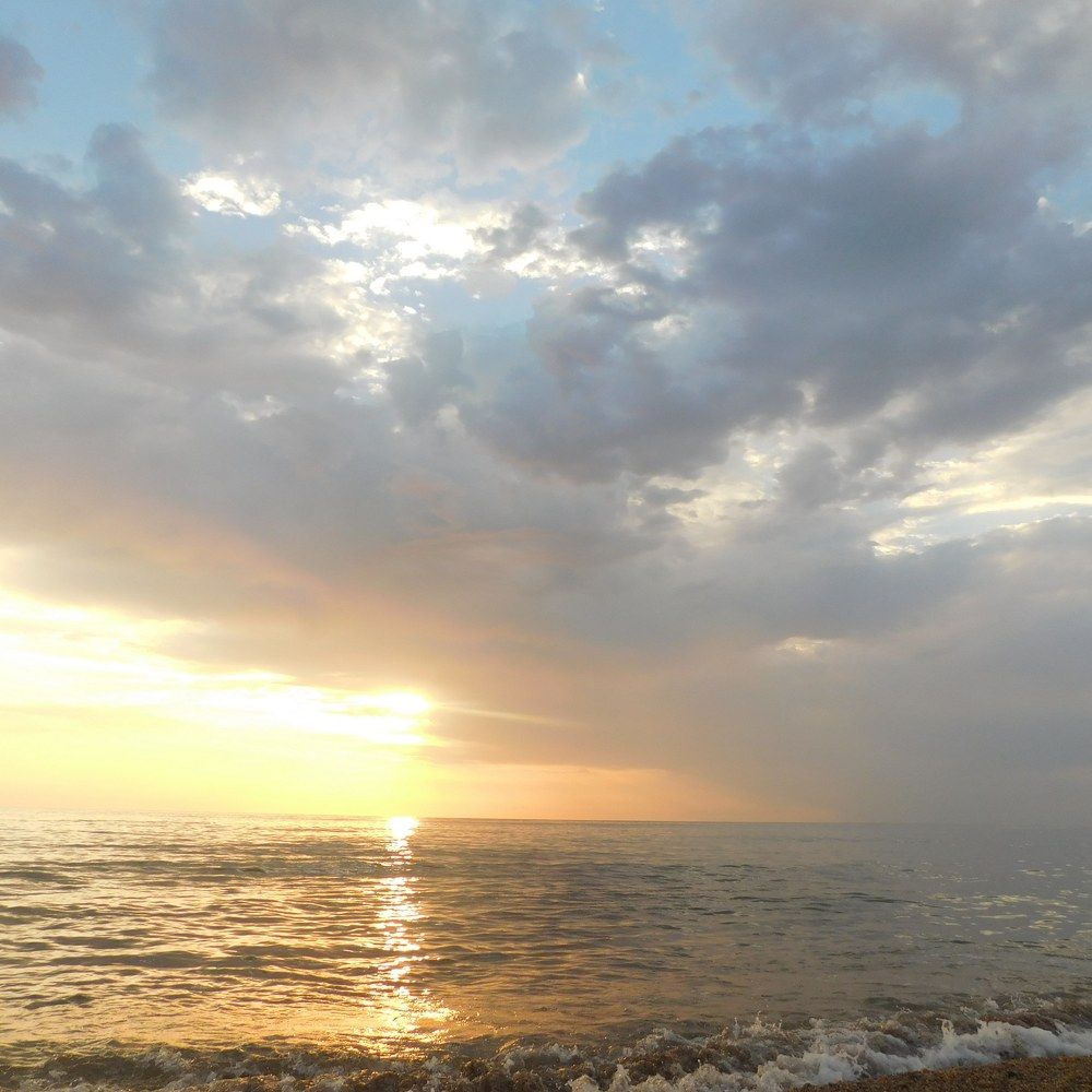 Photograph by Erika Osipova