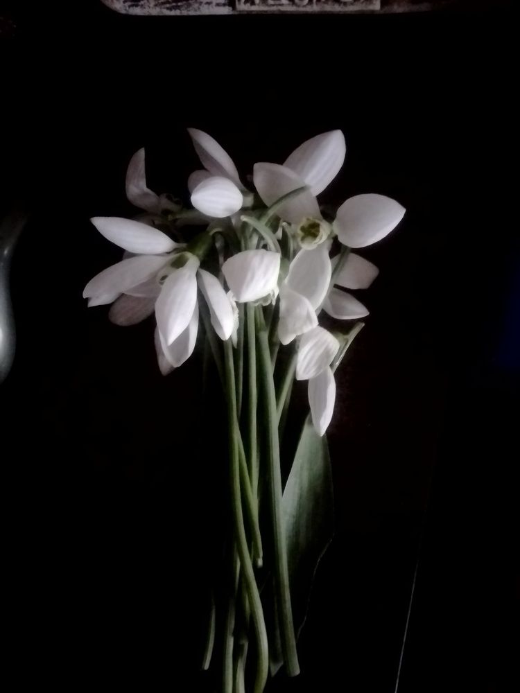 Photograph by Erika Osipova