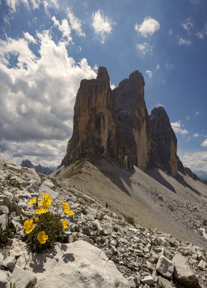 Photograph by Игорь Соколовский