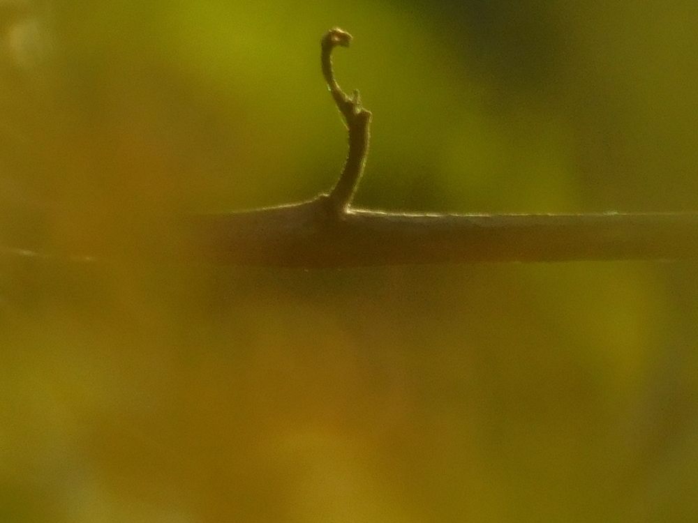 Photograph by Erika Osipova