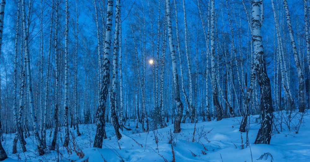 Photograph by Алексей Трухин