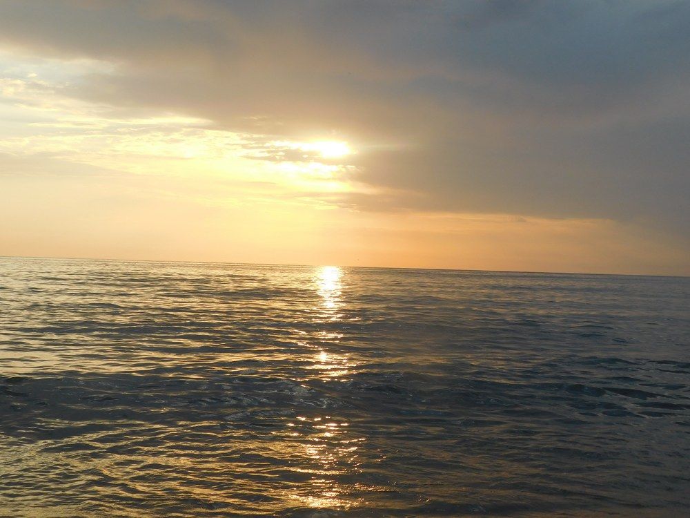 Photograph by Erika Osipova