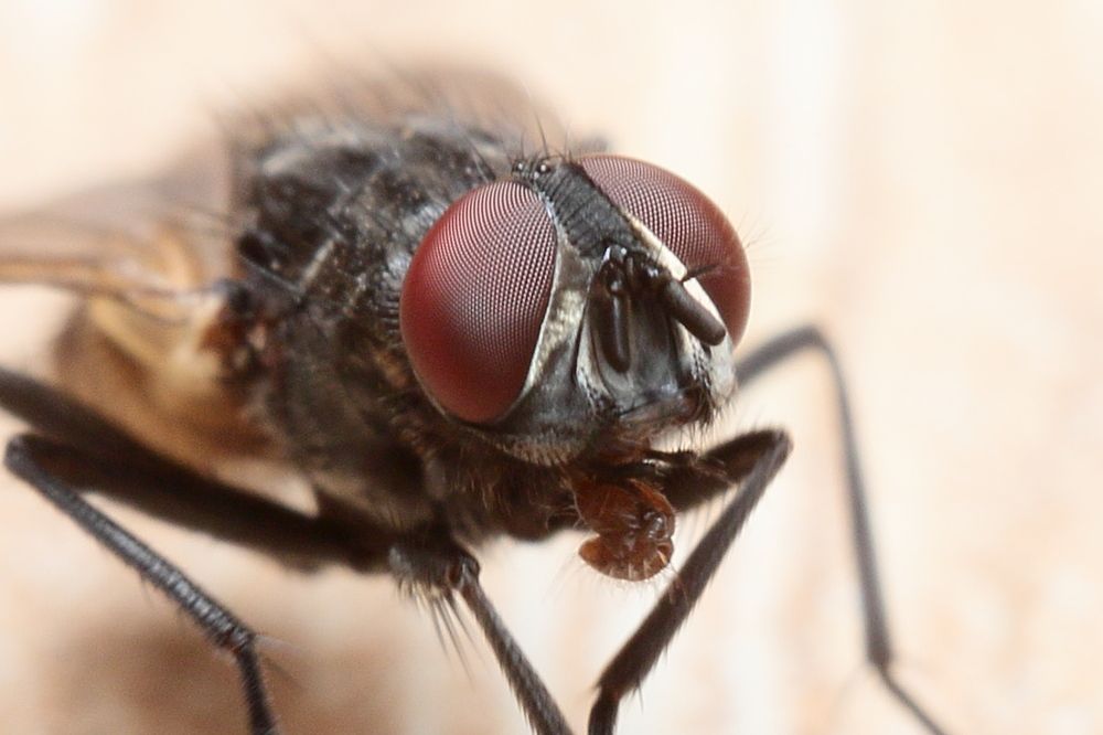 Photograph by Виктор Ноговицин