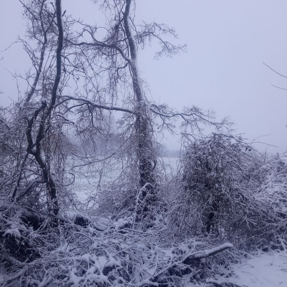 Photograph by Ирина Шаповалова