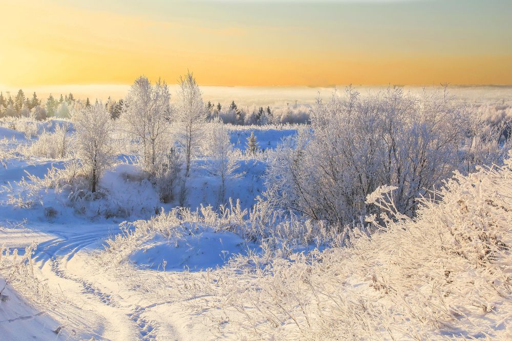 Снегом все запорошило