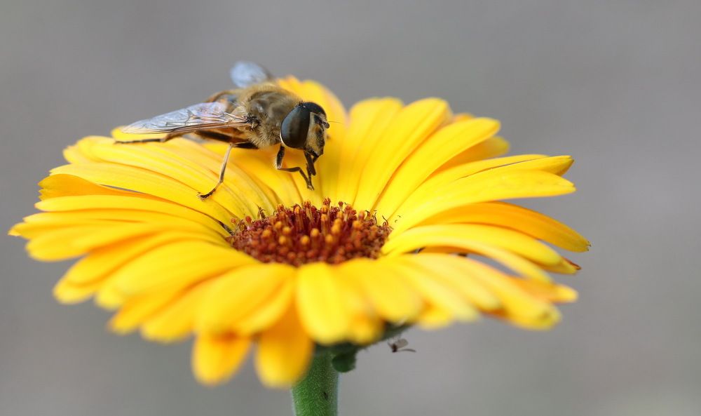 Photograph by Игорь Осипов