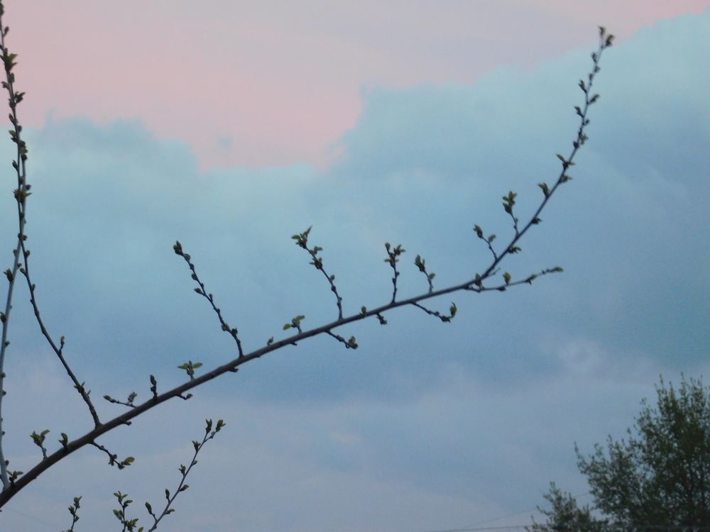 Photograph by Erika Osipova