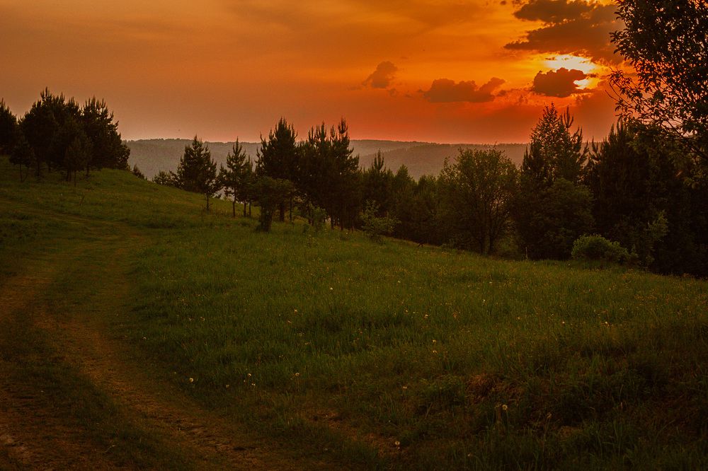 Photograph by Александр Жариков