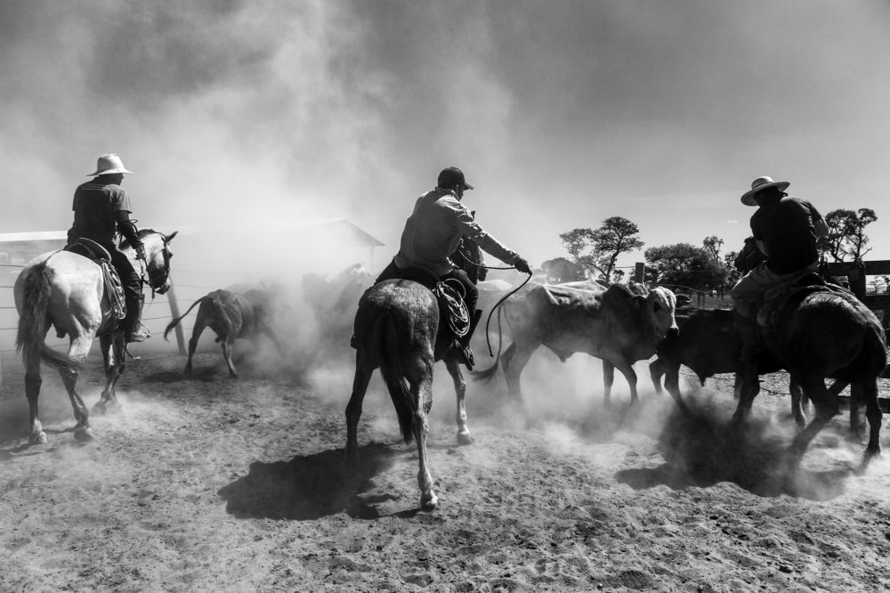 Photograph by FLAVIO SOUZA CRUZ