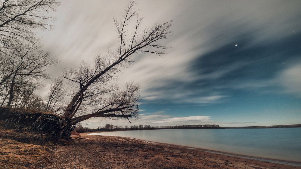 Фотография автора 