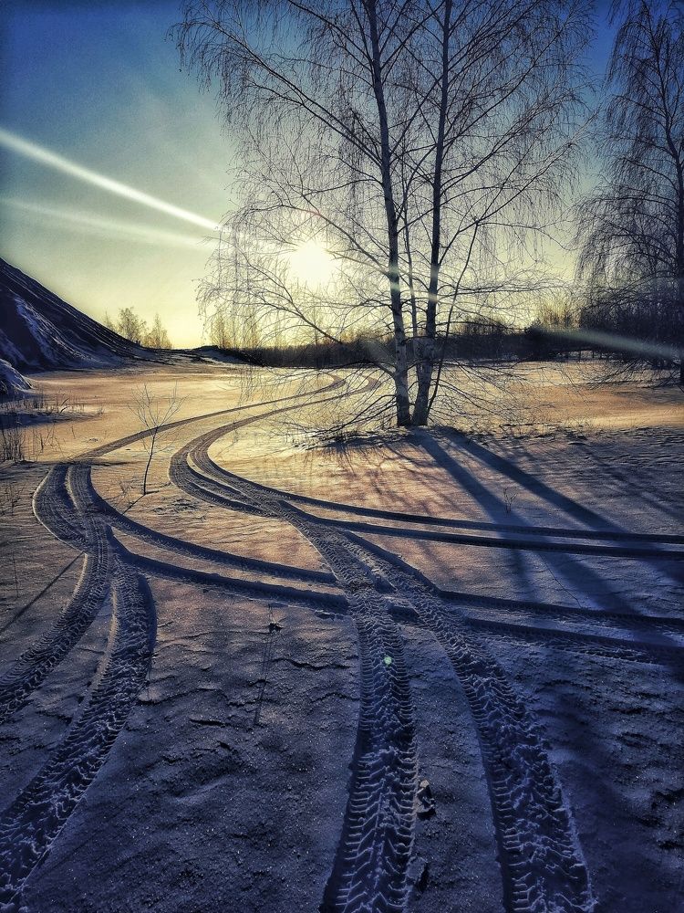 Photograph by Михаил Логвиненко