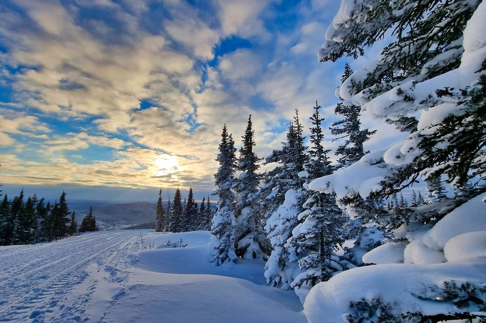 Photograph by Сергей Кесаев