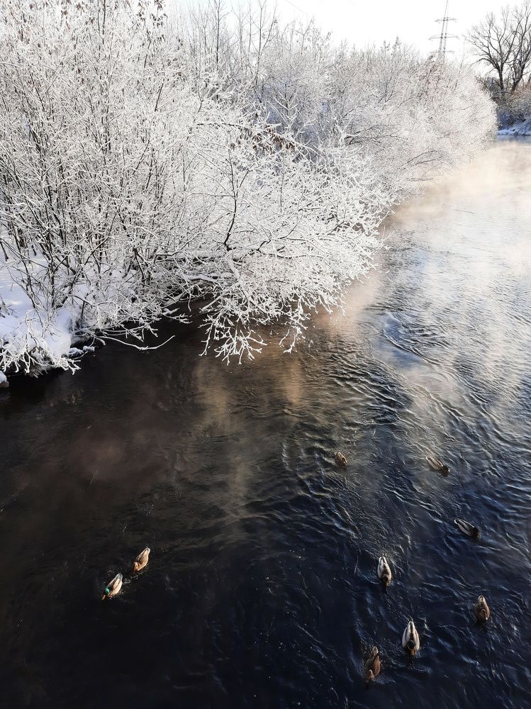 Фотография автора Ольга Кунакова