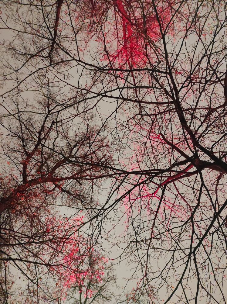 Photograph by Евгения Черенкова