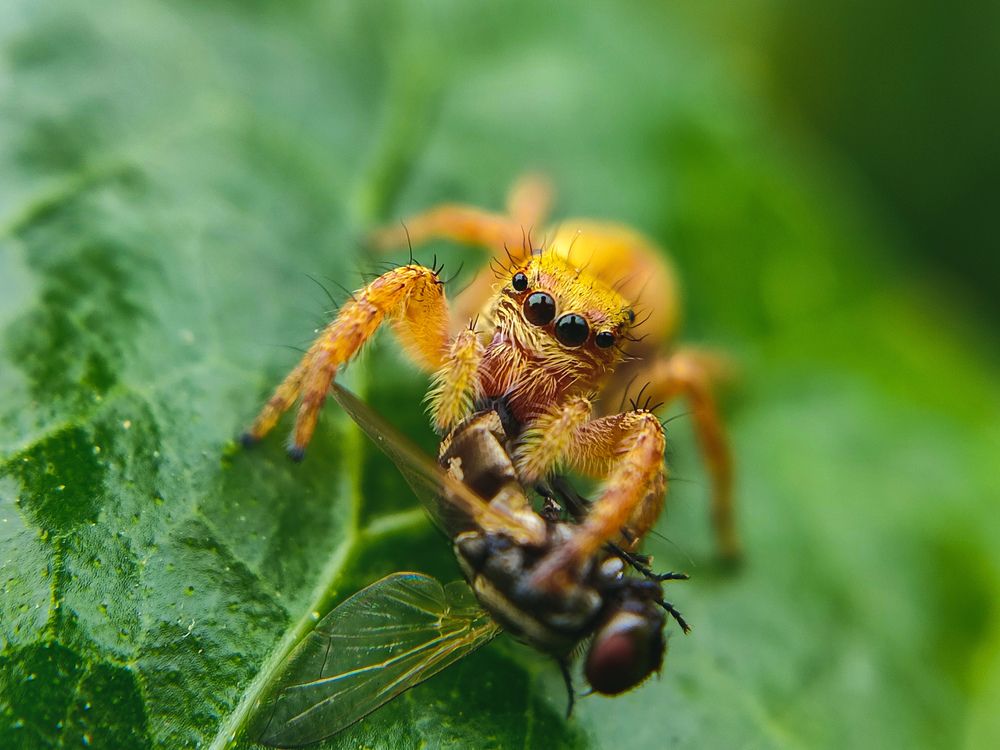 Photograph by Sai Kiran kumar panda