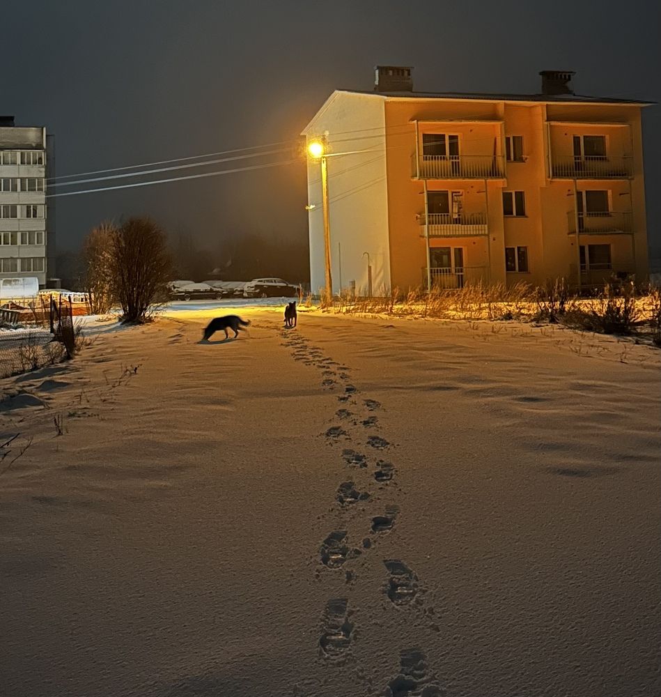 Photograph by Степан Березка