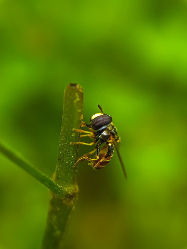 Photograph by Sai Kiran kumar panda