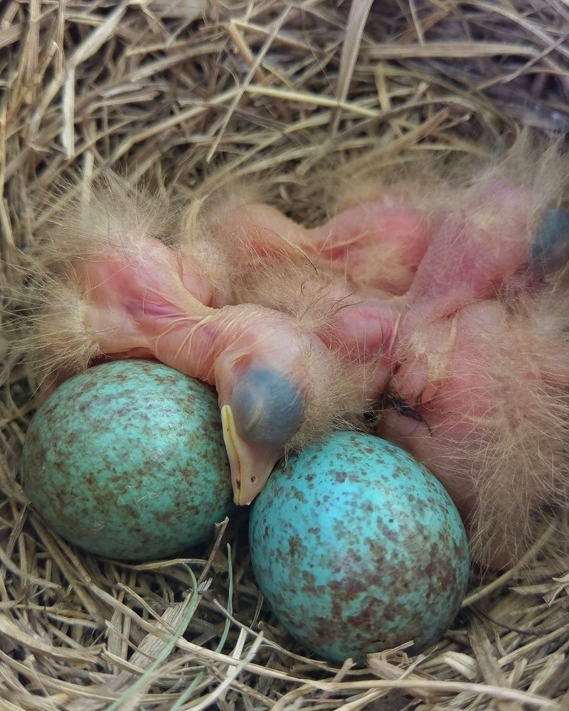 Photograph by Петр Поспелов