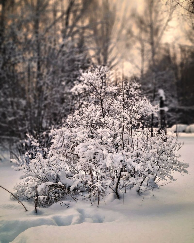 Photograph by Людмила Григорьева