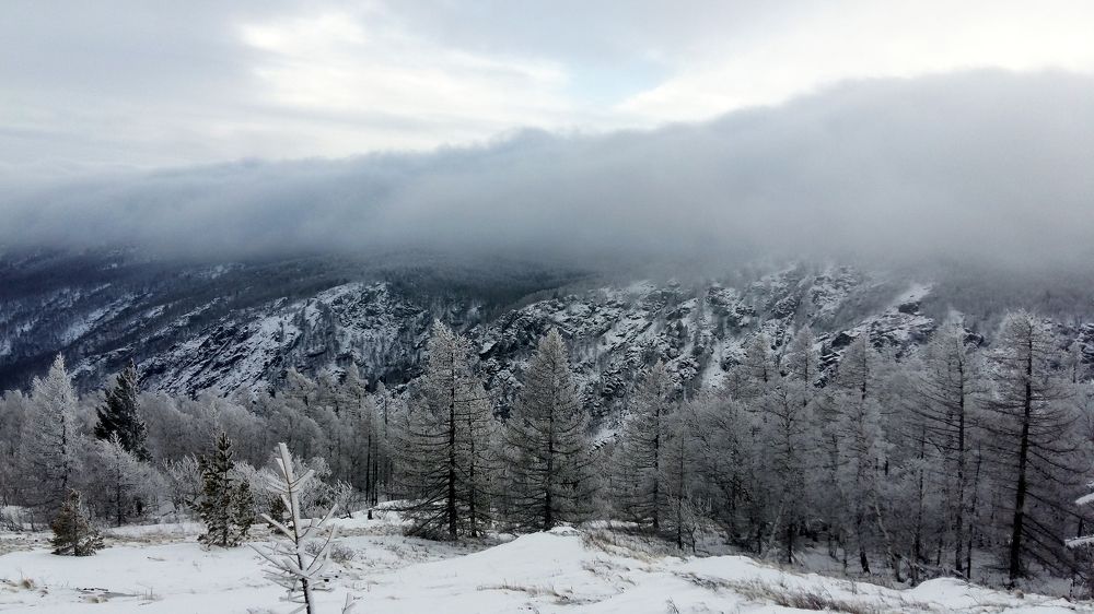 Photo #8604340