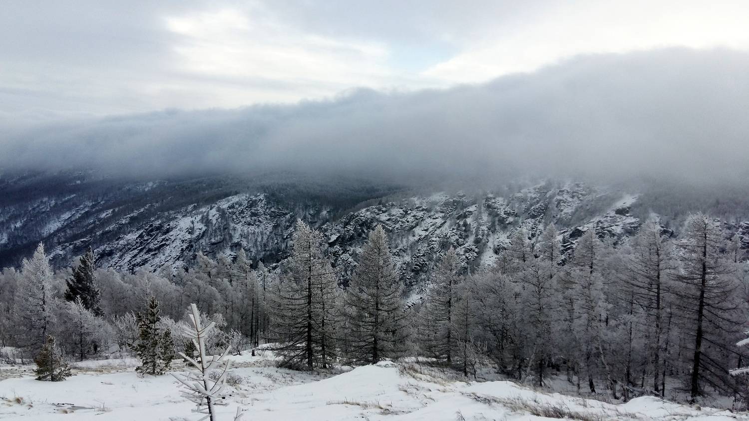 Photo #8604340
