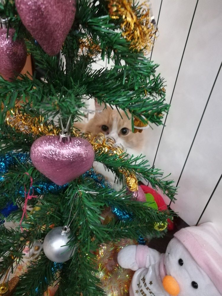 Photograph by Анастасия Липаткина