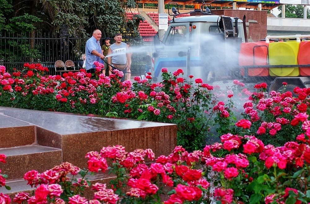 Photograph by Алла Никушкина